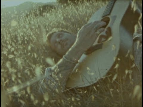 Foxtrails - Sundrip (Official Video)