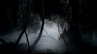 TVD 1X1 #1