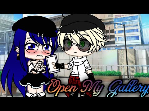 Open My Gallery || Marinette x Adrien || meme