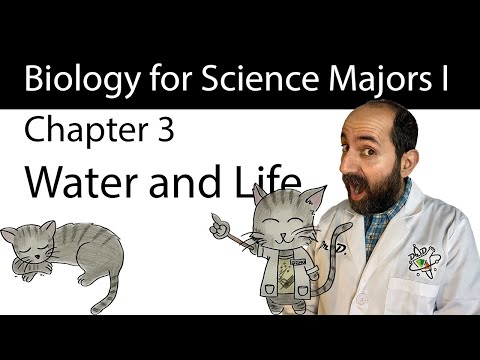 Chapter 3 - Water and Life