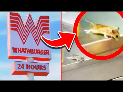 10 Secrets Whataburger Doesn't Want You to Know