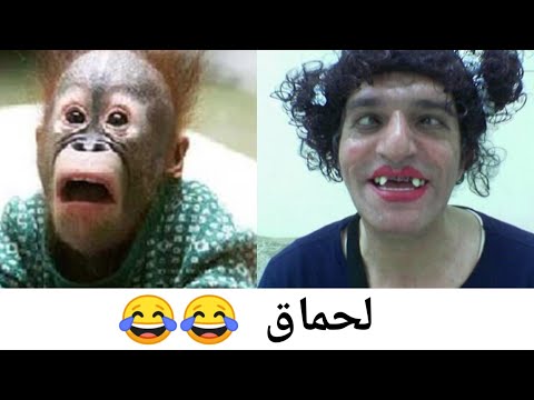 hhhh 2020 لموت ديال الضحك لهربا