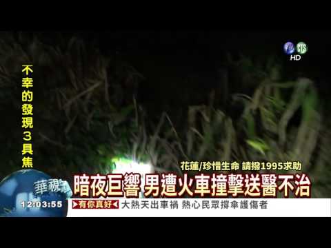 疑自殺臥軌 男遭自強號撞死