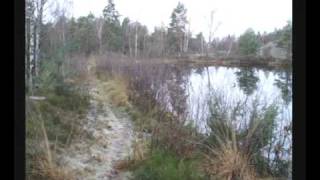 preview picture of video 'Vandring Surte - Bohus 2006'