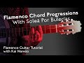 Flamenco Guitar Chord Progressions With Solea Por Bulerias - Tutorial by Kai Narezo