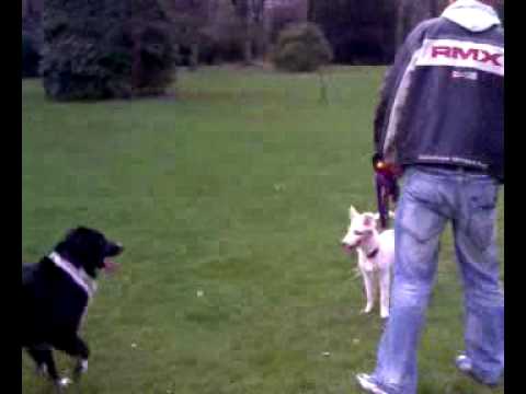 Devaki, Maya und Cindy