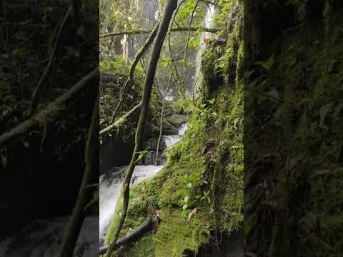 Caminatas Ecológicas a las Cascadas el Golpe en Manta Cundinamarca #colombia #senderismo #naturaleza