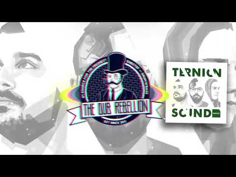 Ternion Sound - Yellow & Grey (VIP)