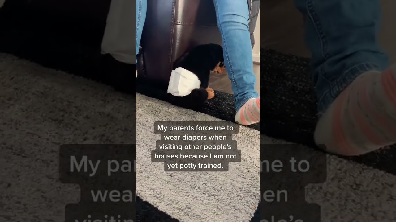 Not yet potty trained...forced to wear a diaper