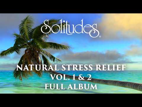 2 hours of Stress Relief Music: Dan Gibson’s Solitudes - Natural Stress Relief Vol. 1 & 2