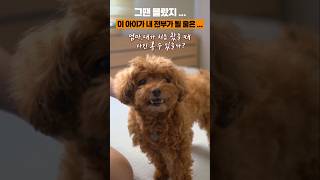 내 맘속 영원한 아기