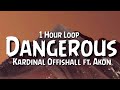 Kardinal Offishall - Dangerous {1 Hour Loop} ft. Akon TikTok Song.