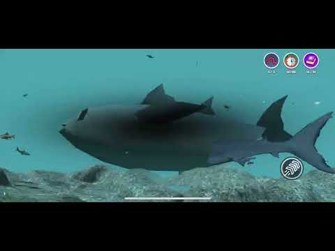 Real Fish Simulator