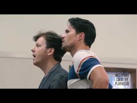 THE UNDERSTUDY — What is the show about?