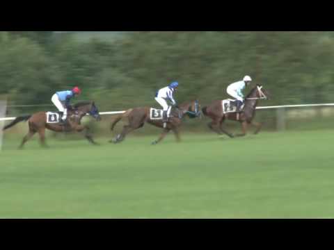 MI, 17. 7. 2016, 9. dostih - Cena firmy MORKUS MORAVA s.r.o.