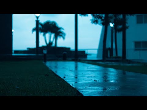 Wonderful Rain Sound to Sleep in 11 Minutes - Rain to Sleep, Study, Meditate