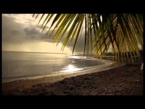 Sun Travel - Noi iti oferim vacanta de vis