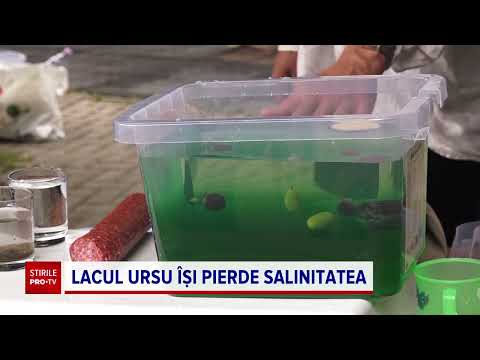 Ce se întâmplă cu Lacul Ursu din Sovata, cel mai mare lac sărat helioterm din lume