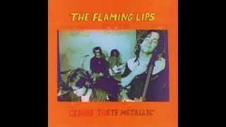 Day 2: Christmas at the Zoo   The Flaming Lips