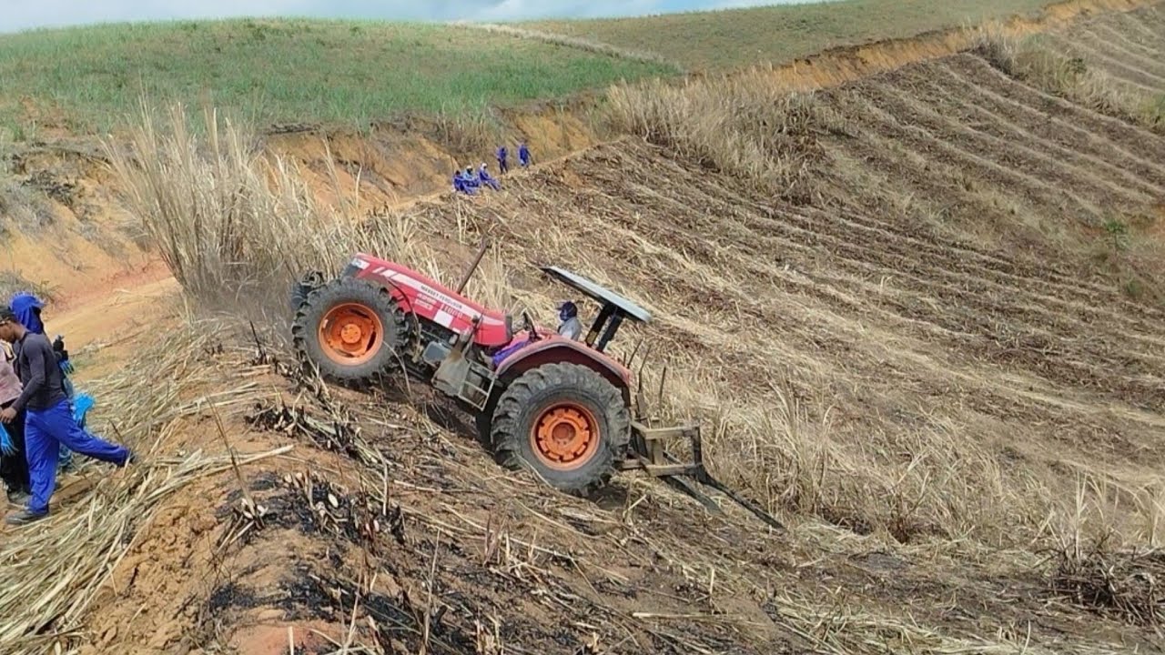 Carregamento De Cana De Açúcar Engenho Liberdade Usina JB