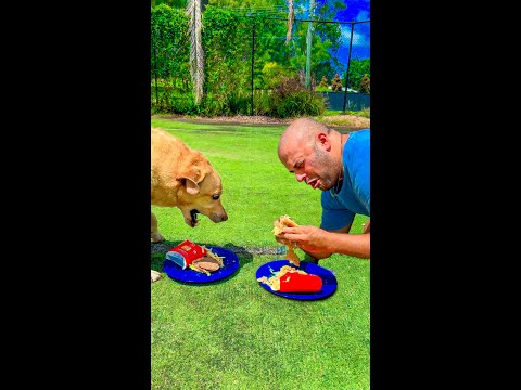 I Versed My Dog in an Eating Challenge! 😂