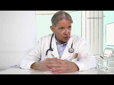 Was macht eigentlich die Niere?