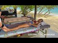 ASMR Thai Virgin Coconut Oil Massage In A Tropical Paradise