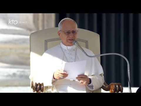 Audience générale du 19 novembre 2025