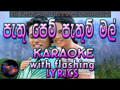 Pathu Pem Pathum Karaoke with Lyrics (Without Voice)