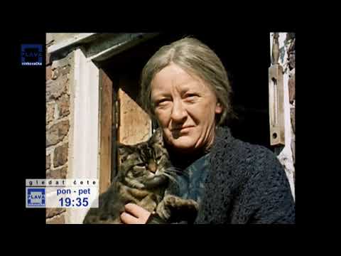 DEMOKRACIJA 21.08.2020.