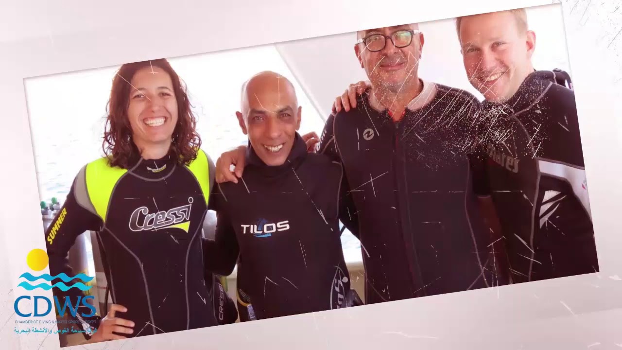 The CDWS 2019 highlights and achievements!