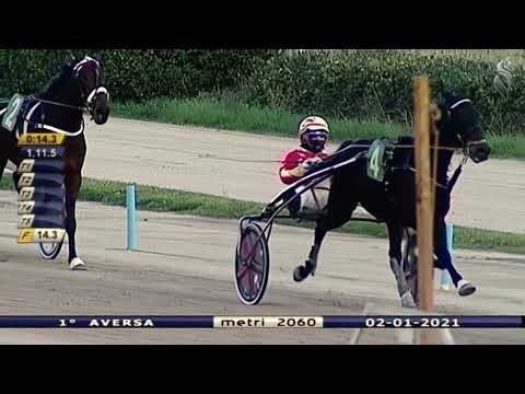 Aversa trotto 2 Gennaio 2021 - 1° Corsa