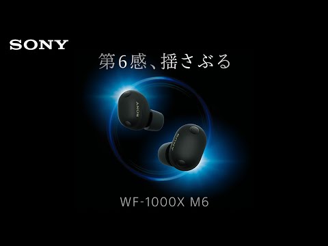 完全ワイヤレスイヤホン ブラック WF-1000XM6 BZ [ワイヤレス(左右分離