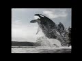 Free Willy 2 The Road Home Movie Trailer 1995 TV Spot