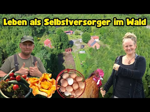 Living as a self-sufficient person in your own forest - Almost self-sufficient and never finished