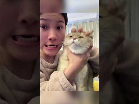 Die beste Katze 🐱