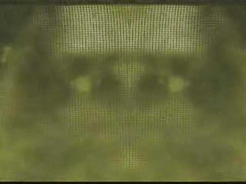 who are you....the real five