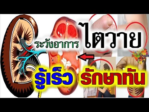 ความแข็งแรงใน 60 ปีที่ผ่านมา ตรวจสอบแรง Bad จักรพรรดิ
