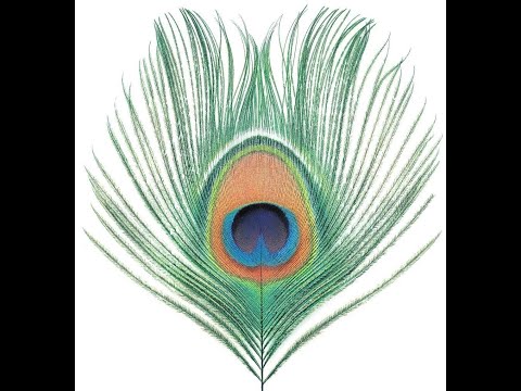The Last Balloon - XTC