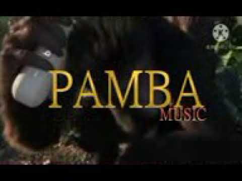 mwaisa ft pamba music song wasi wasi official  video coll me to 0718360066