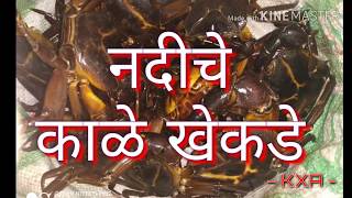 preview picture of video 'Crab hunting with bare hands @ konkan fishing'