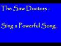 The Saw Doctors - "Sing a Powerful Song"