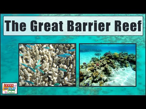 The Great Barrier Reef for Kids!