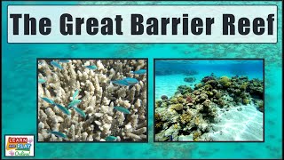 The Great Barrier Reef for Kids! gameplay video by mgorham, 5:30 duration