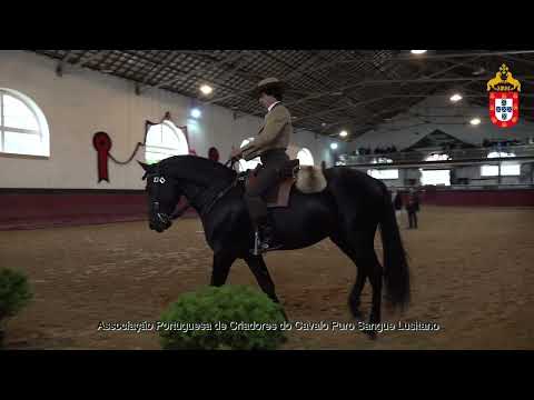 231021 3 Poeta do Convento   Aprovação de Reprodutores