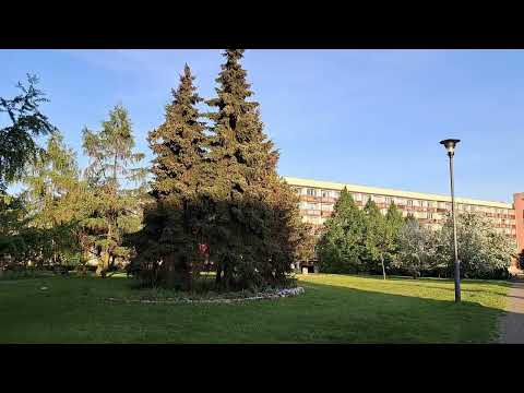 Chorzów, Klimzowiec, wzdłuż ul. Gałeczki, późne popołudnie, wiosna 2025, 4K 30fps.