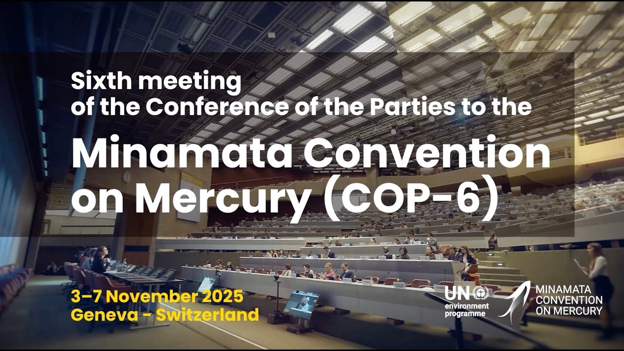 Minamata Convention COP-6: Highlights and Key Messages