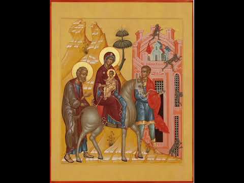 Pr. Antonie - Predica la Duminica după Nașterea Domnului 