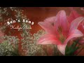 Ben's Song - Kailyn Clark (Sarah McLachlan) - 2020