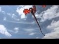 A Very Cool Dragon Kite